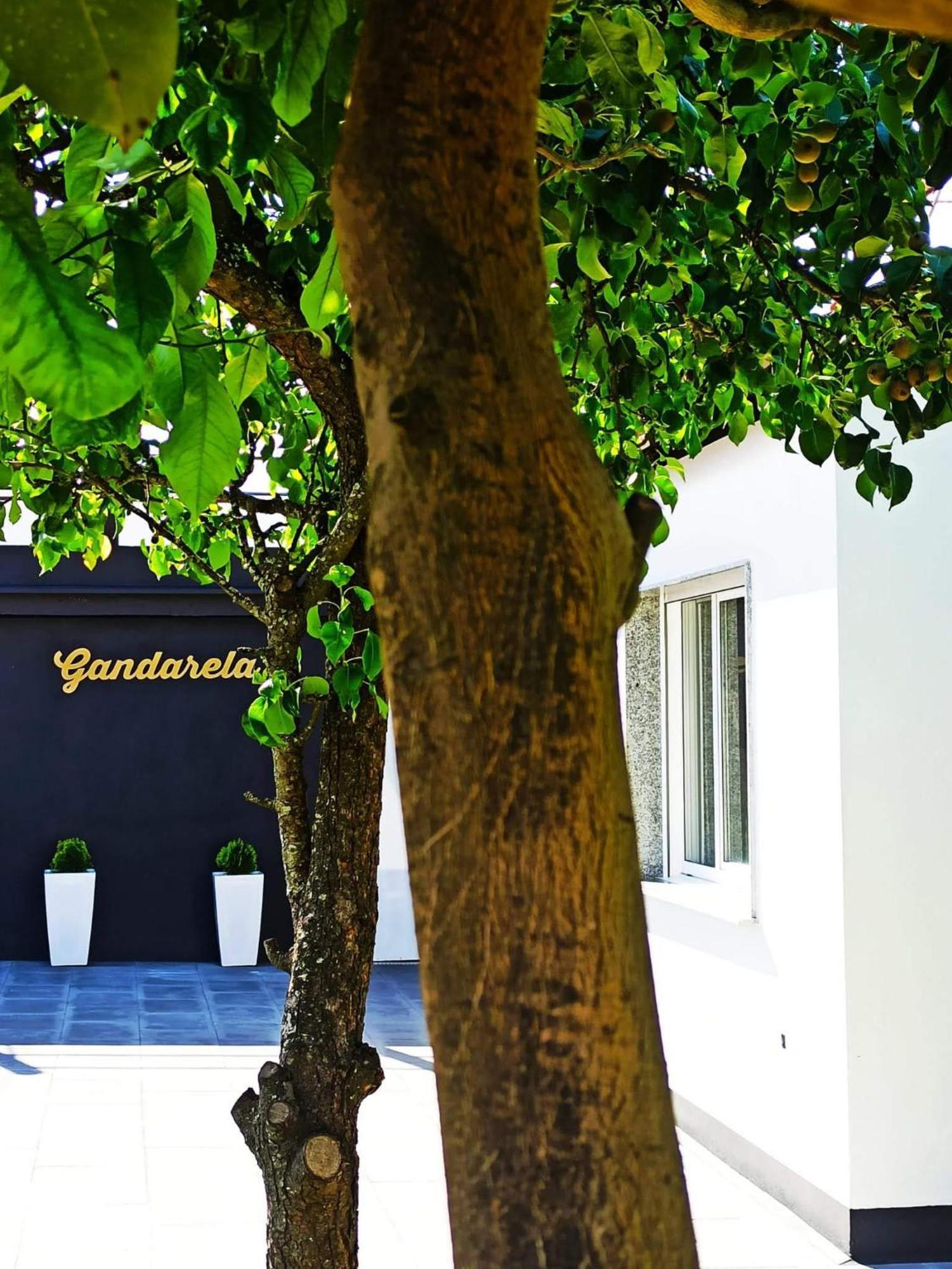 Vut Gandarela Apartament Sanxenxo